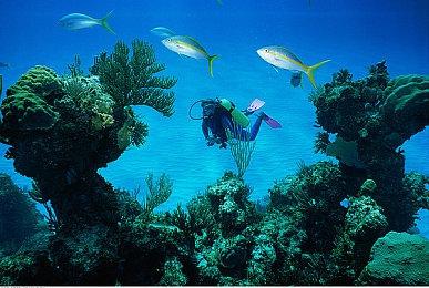 《星刃》照相模式新截图 伊芙和百合举手比耶